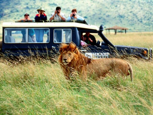 B the travel brand Xperience destaca os safaris que programou